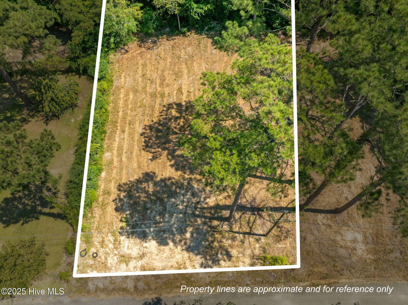 Property Photo:  126 Jupiter Trail  NC 28546 