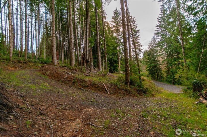 Property Photo:  1  Lot Bison Run  WA 98632 