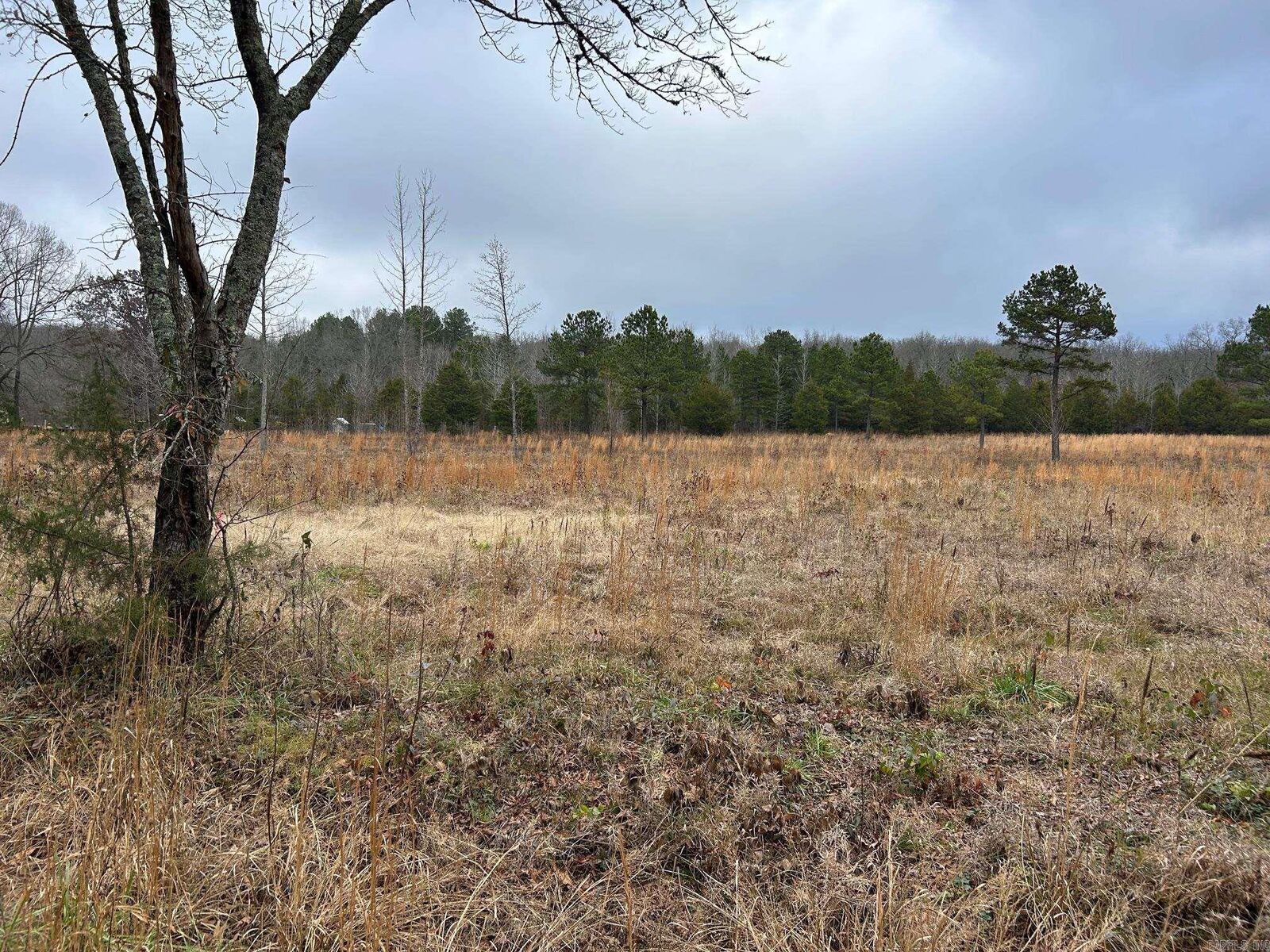 Property Photo:  3 Rivers Edge Road  AR 72173 
