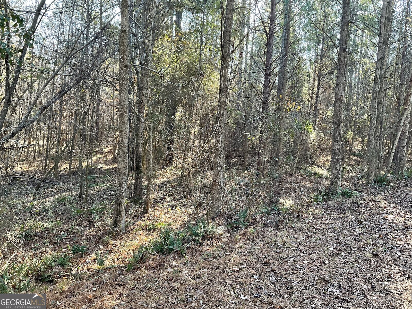 Property Photo:  0 Erskine Drive  GA 31064 