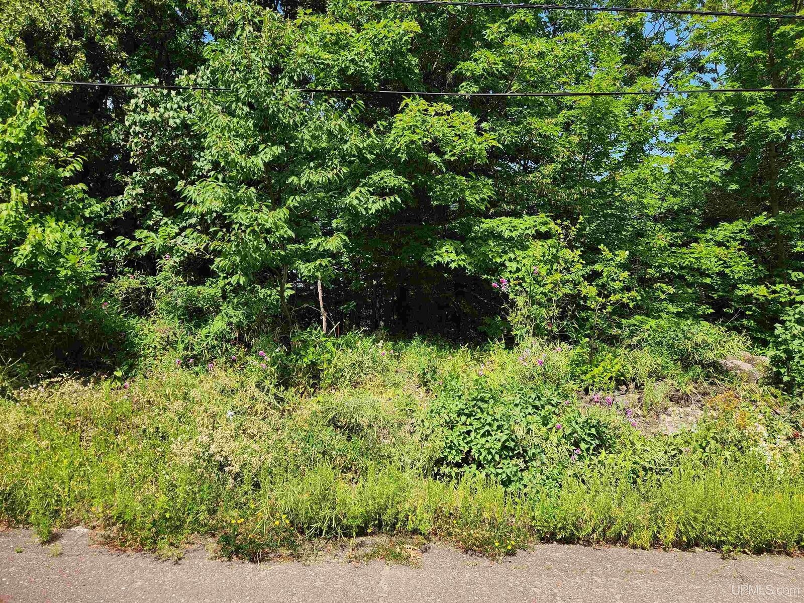 Property Photo:  Tbd 16 Calverley Avenue  MI 49931 