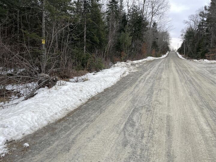 Property Photo:  Lot# Trafton Road Lot#  ME 04942 