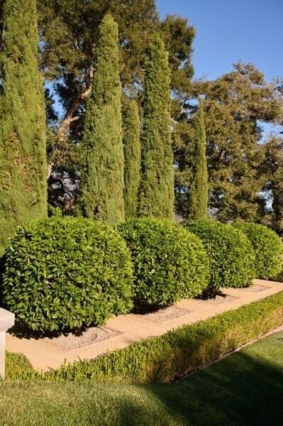 Property Photo:  2910 Sycamore Canyon Road  CA 93108 