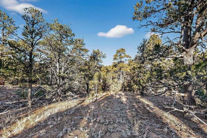 Property Photo: 0 La Posta Way Tract 7-2 NM 87505