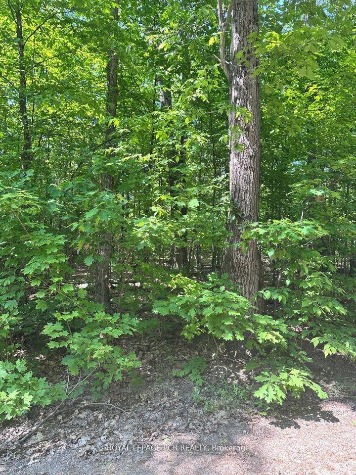 Property Photo:  1414 Madill Road  ON K0M 1R0 