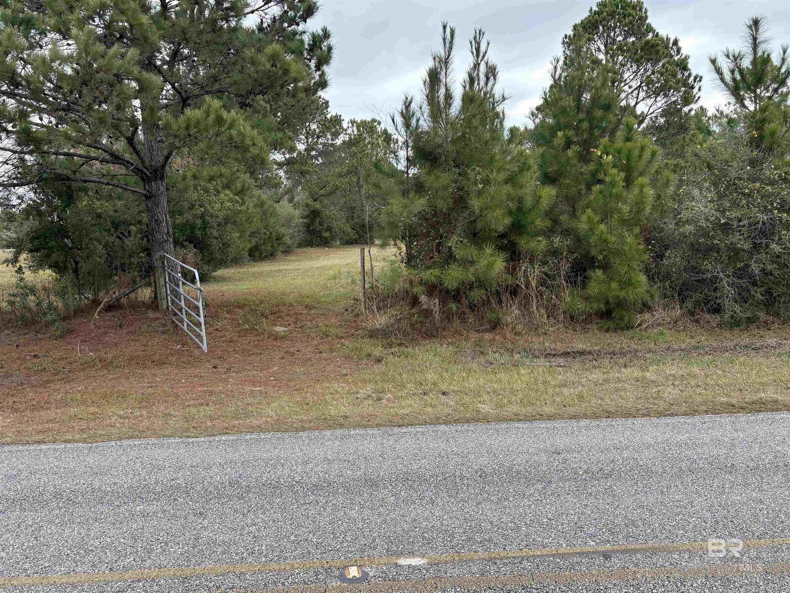Property Photo: 31849 Randolf Avenue AL 36549-5707