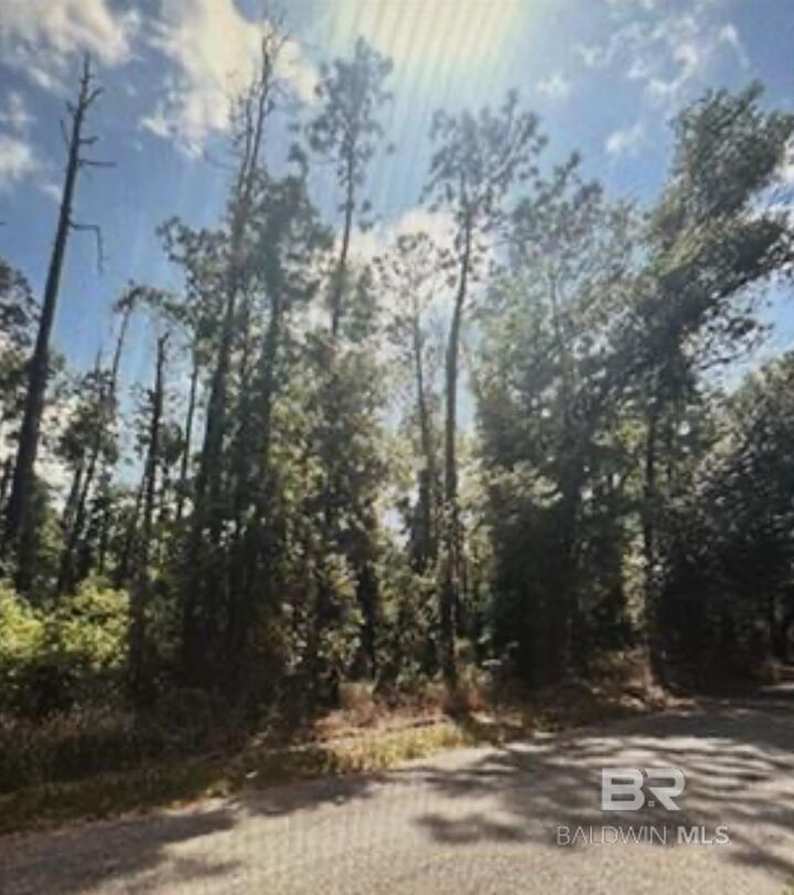 Property Photo: 0 W Woodhaven Dairy Road AL 36576