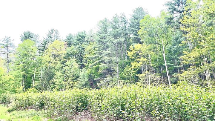 Property Photo:  33 E Maine Road  NY 13790 