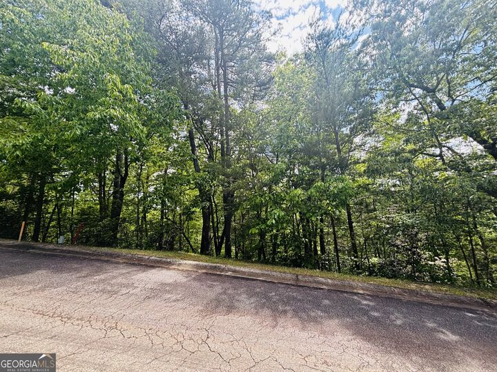 Property Photo:  0 Rosen Strasse - Lot 141  GA 30545 