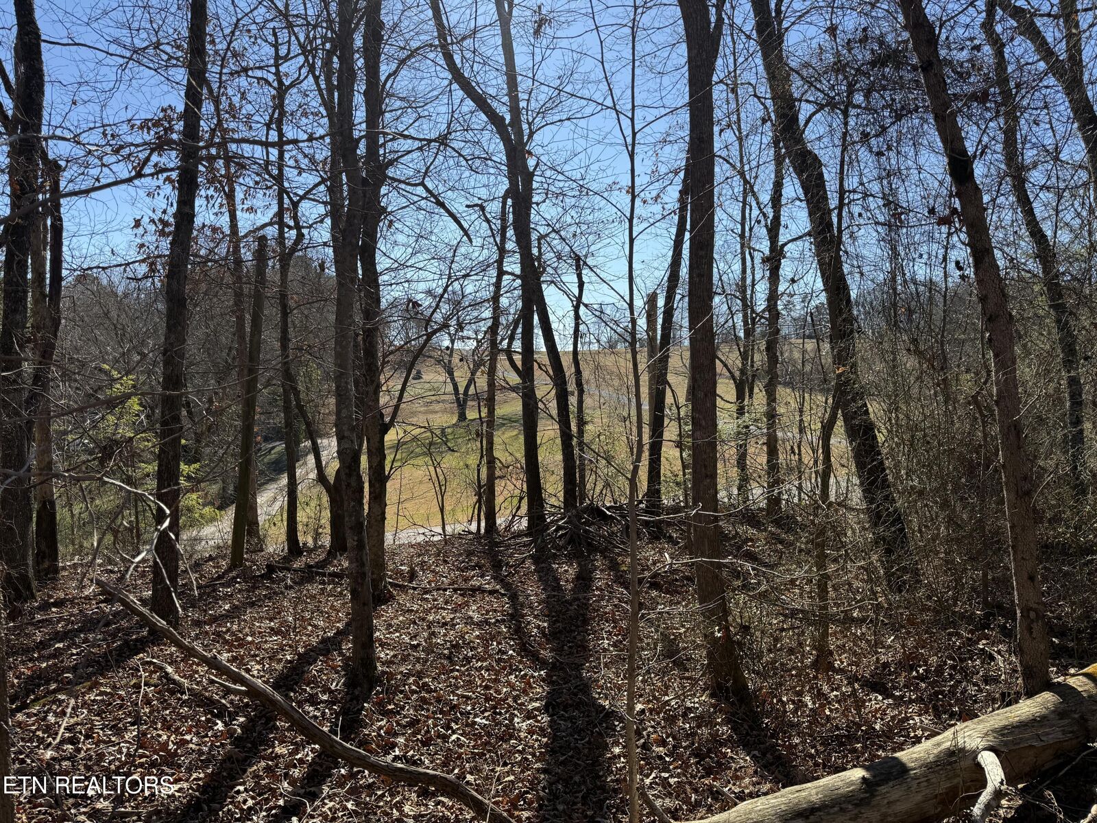 Property Photo:  0 Cates Rd  TN 37854 