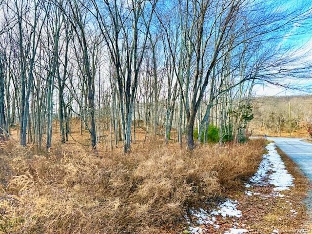 Property Photo:  56 Route 209  NY 12771 