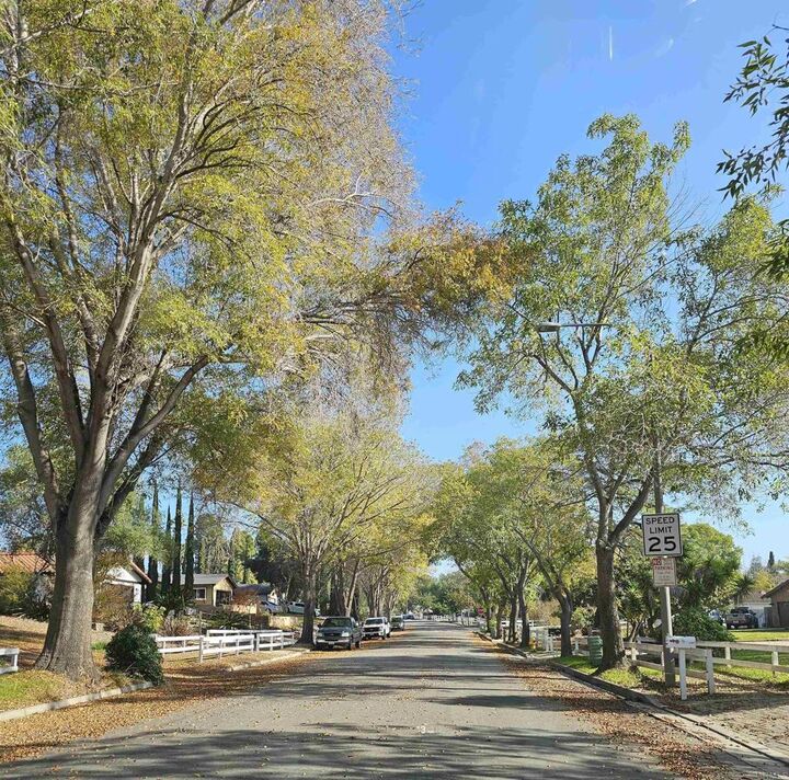 Property Photo: 1505 Surrey Court CA 92057