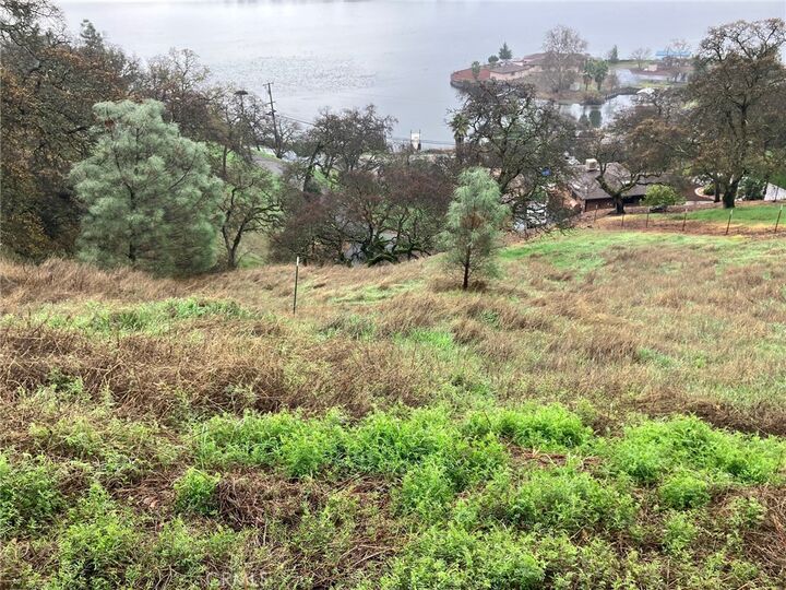 Property Photo:  12039 Lakeview  CA 95423 