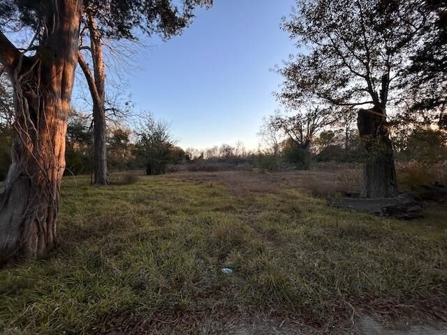 Property Photo: 6245 Hwy 105 TX 77708