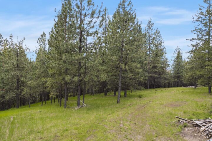 Property Photo: 17534 E Off My Ln WA 99217