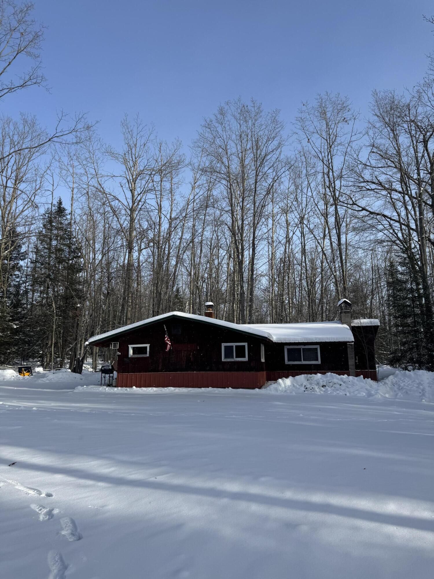 Property Photo:  10741 Big Cut Highway  MI 49759 