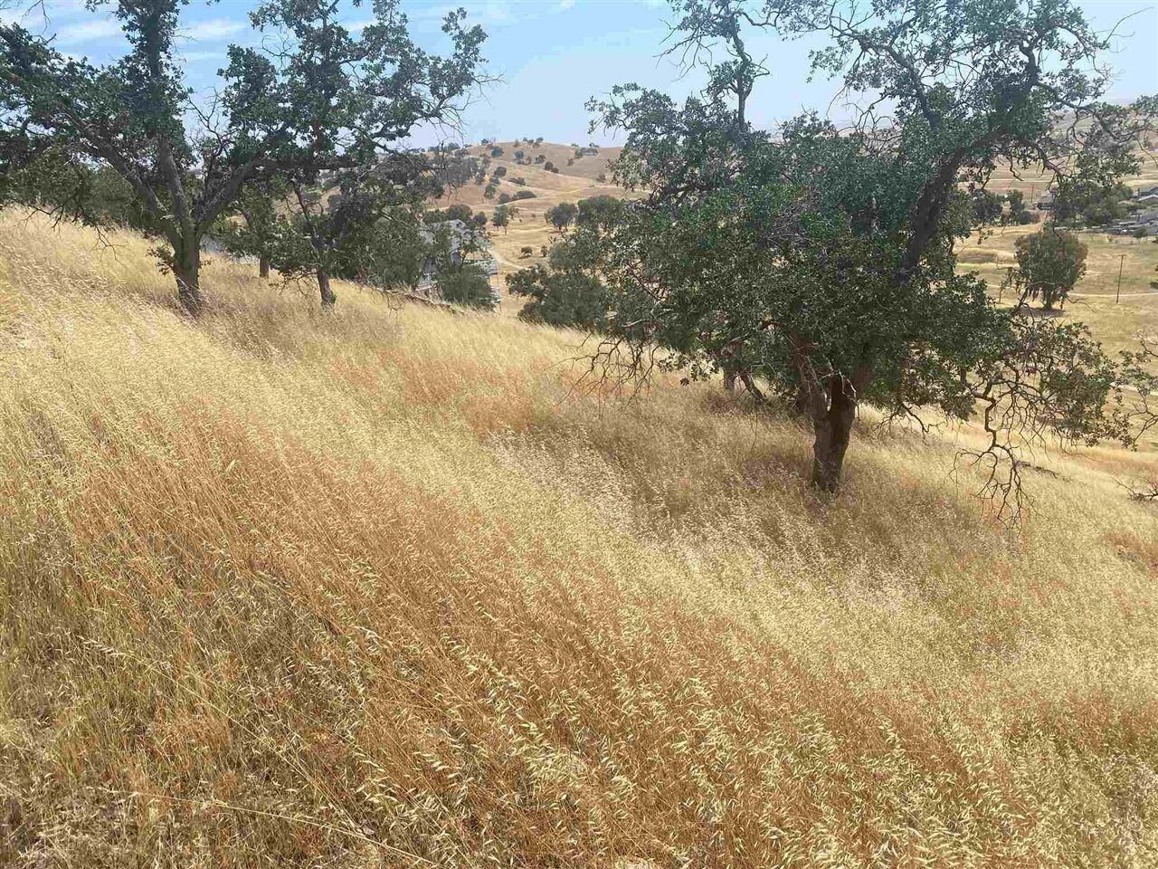 Property Photo:  9104 Capullo  CA 95329 