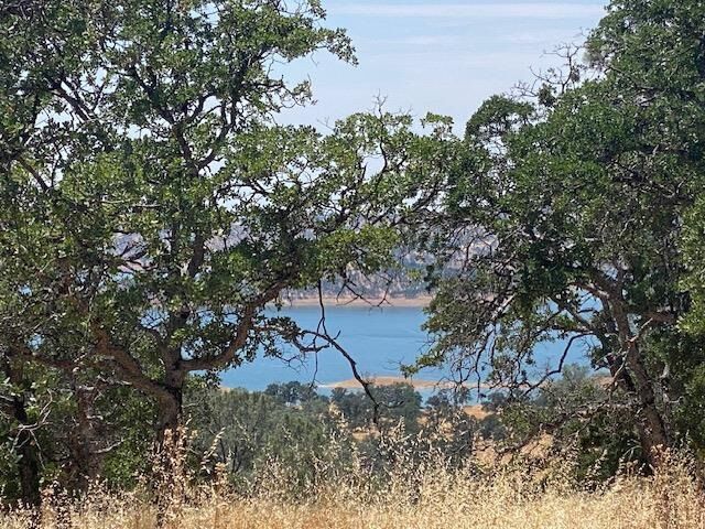 Property Photo:  00000 Arbolada Dr  CA 95329 