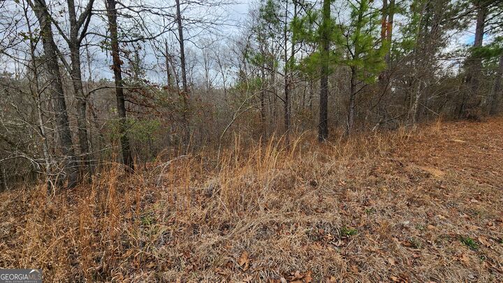 Property Photo: 0 Ethridge Place GA 31032