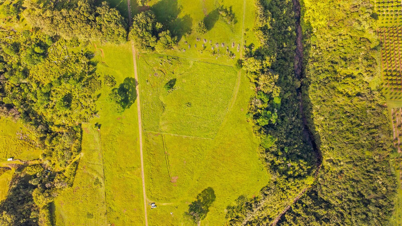 Property Photo:  Kaiwiki Homestead Rd  HI 96710 