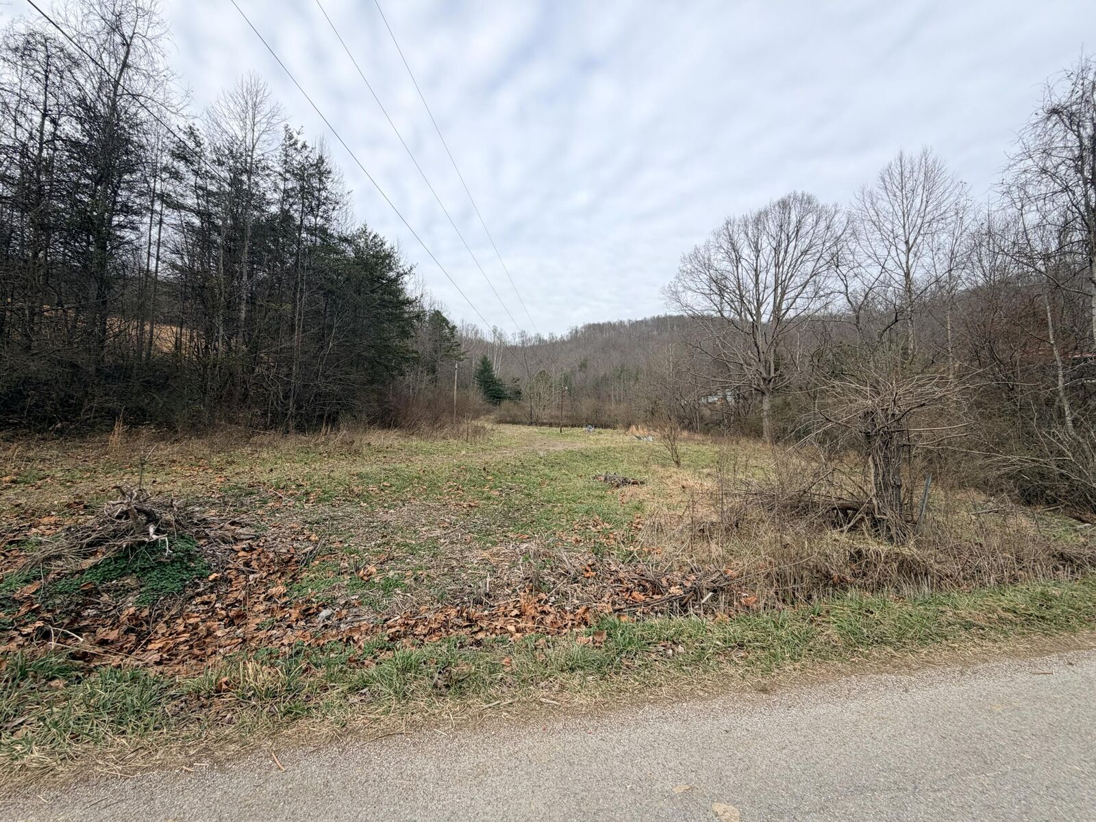 Property Photo:  776 Harps Creek Road  KY 40763 
