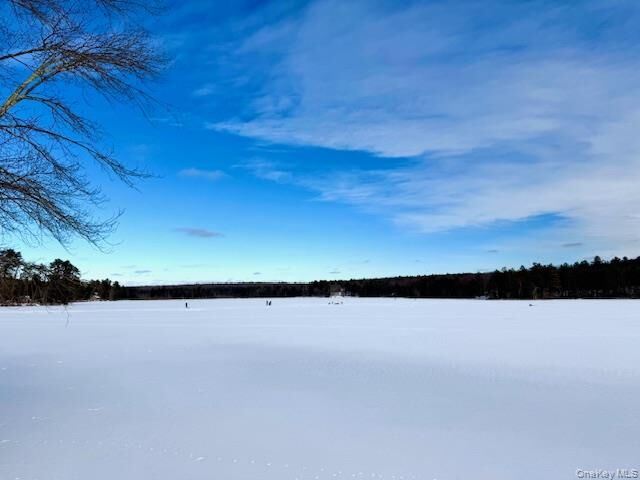 Property Photo:  195 W Mohican Trail  NY 12737 