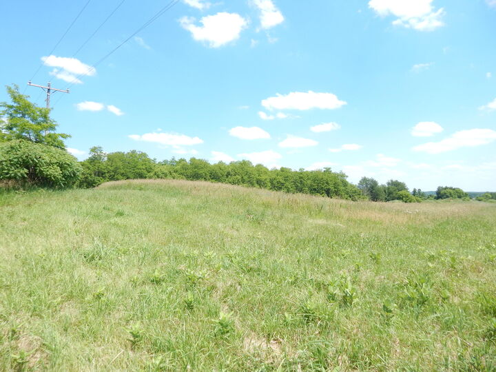 Property Photo:  9340 Sparta Avenue NW  MI 49345 