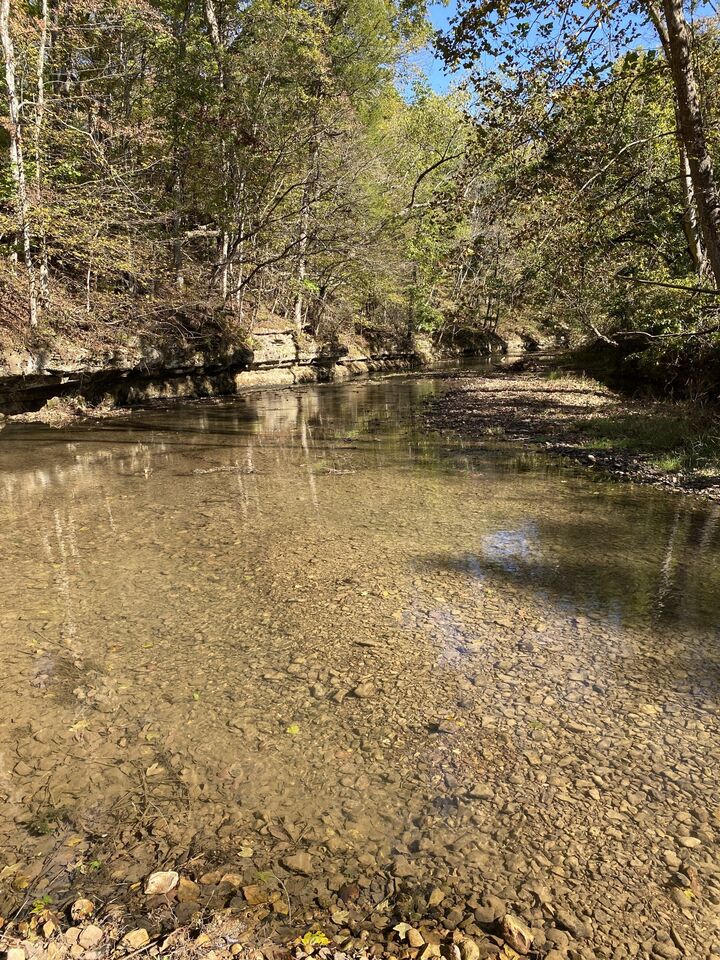 Property Photo:  901 Britton Springs Rd  TN 37042 