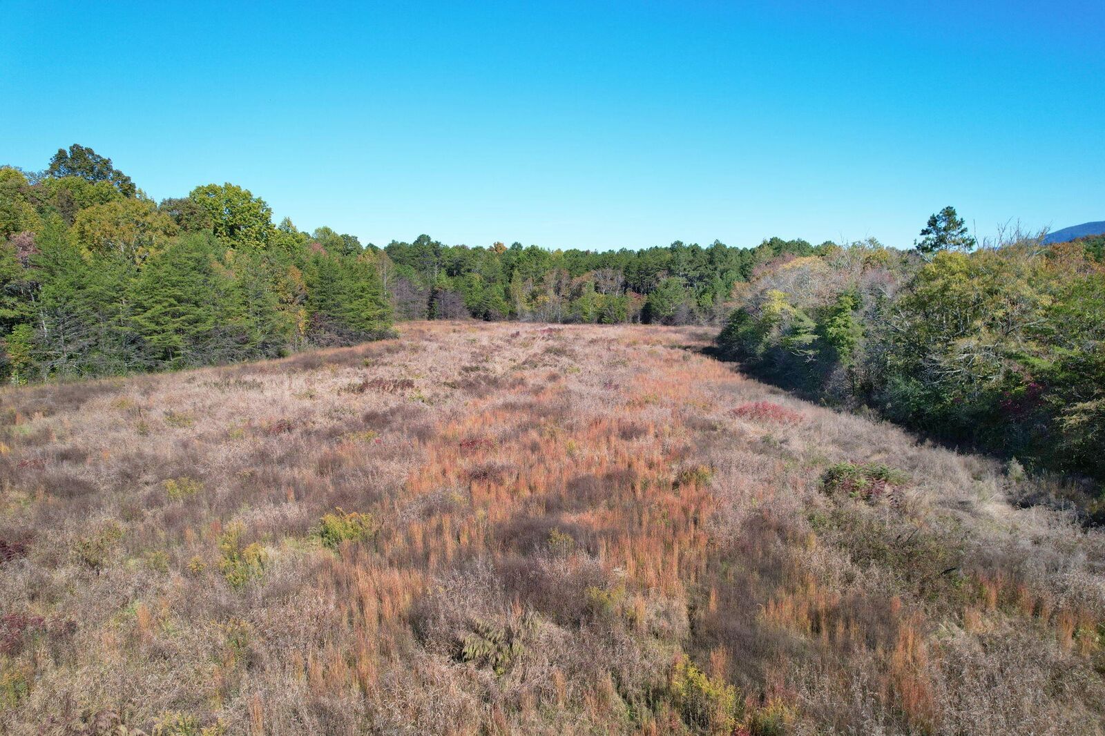 Property Photo: 1379 Sand Mountain Road TN 37361