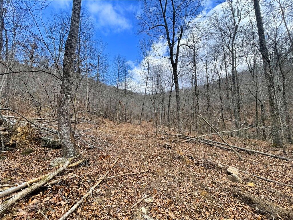 Property Photo:  40.12 Acres Landlock Road  AR 72650 