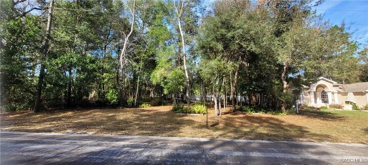 Property Photo:  1415 W St. Elizabeths Place  FL 34434 