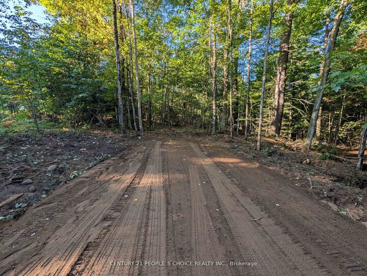 1055 Porkys Road — photo 1