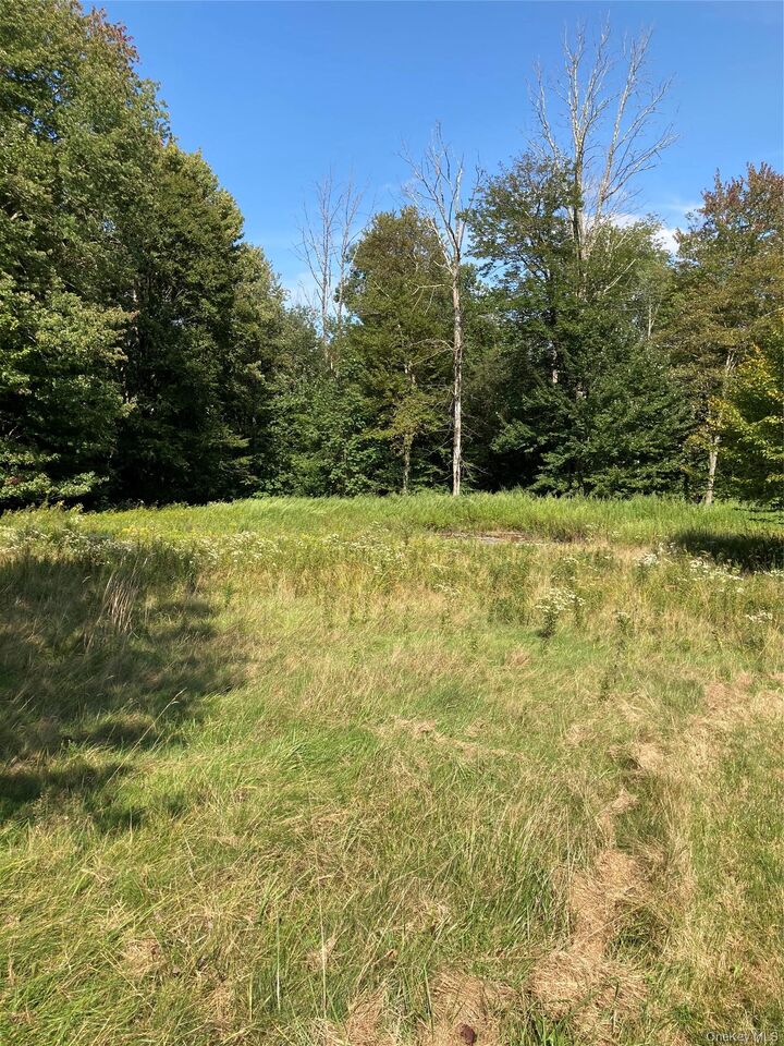 Property Photo:  699 Budd Road  NY 12788 