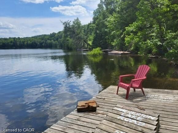 Property Photo:  5803 Haliburton Lake Road  ON K0M 1S0 