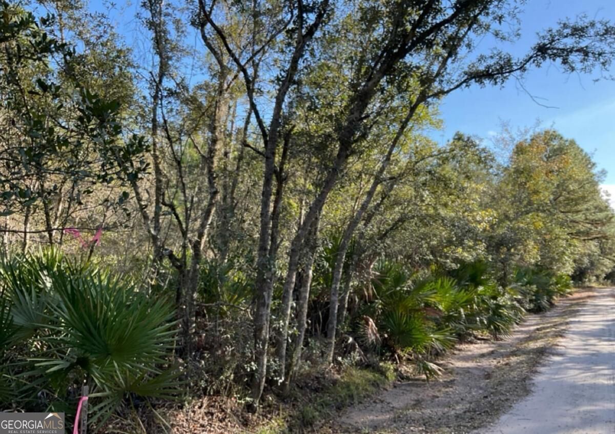 Property Photo:  0 Deerwood Creek Estates Road  GA 31565 