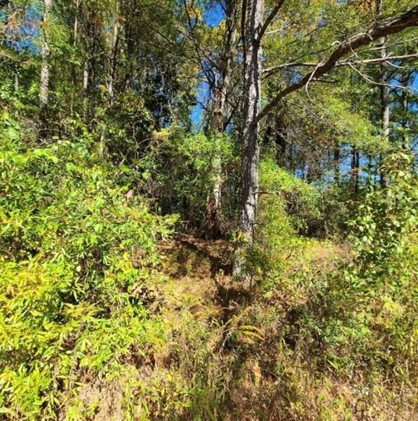 Property Photo:  0 Scarlett Lane  GA 30161 