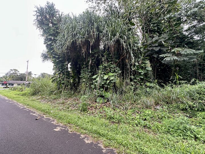 Property Photo:  Moi St  HI 96778 