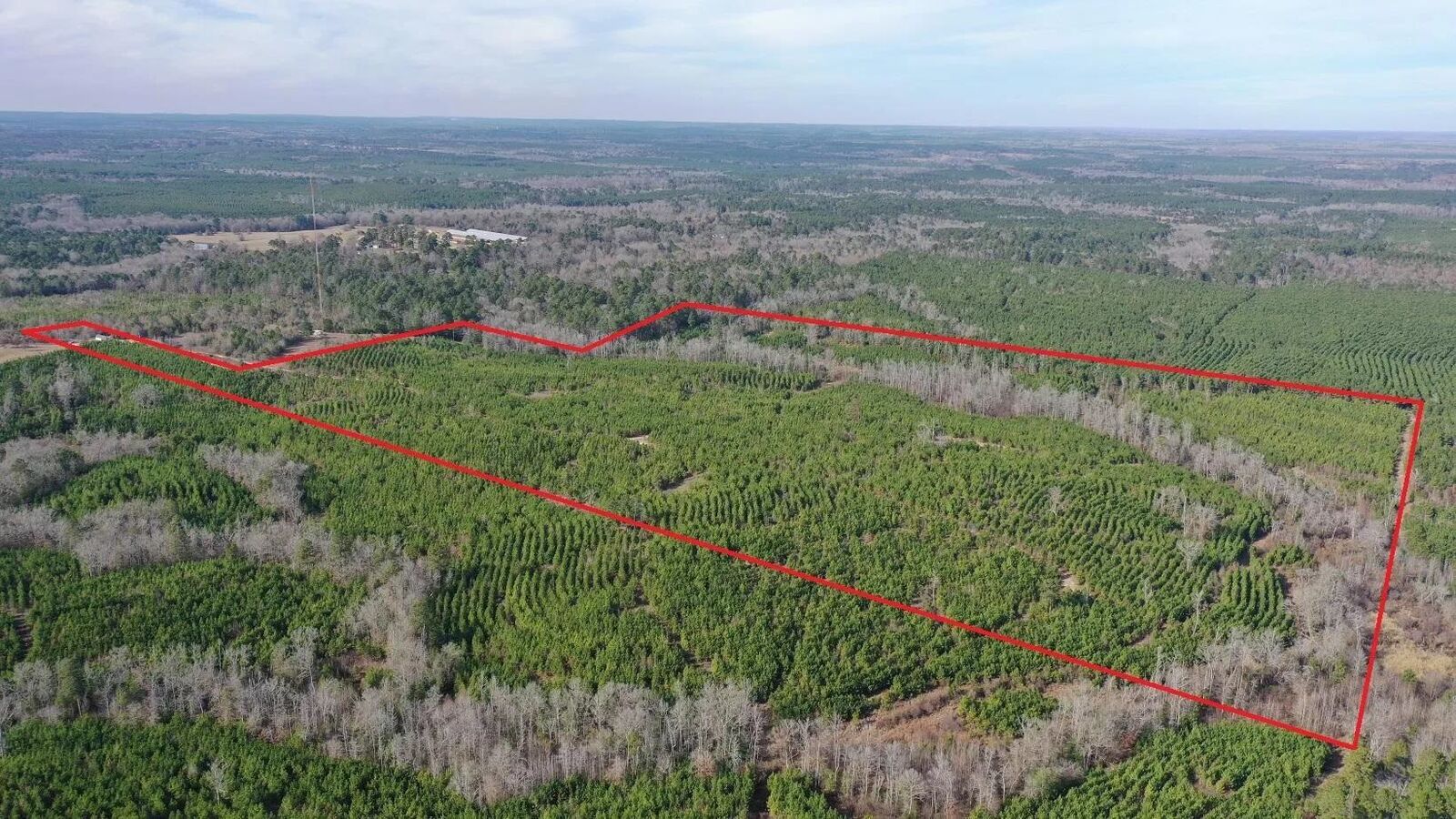Property Photo:  Tbd Shady Grove Road  TX 75657 