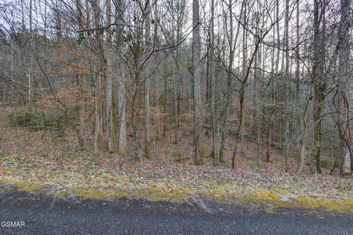 Property Photo:  4120 Highland Road  TN 37722 