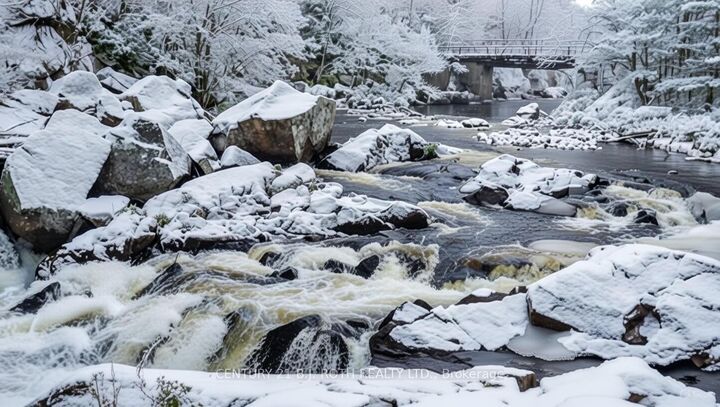 Property Photo: 8101 Kings River Road ON L0K 2B0