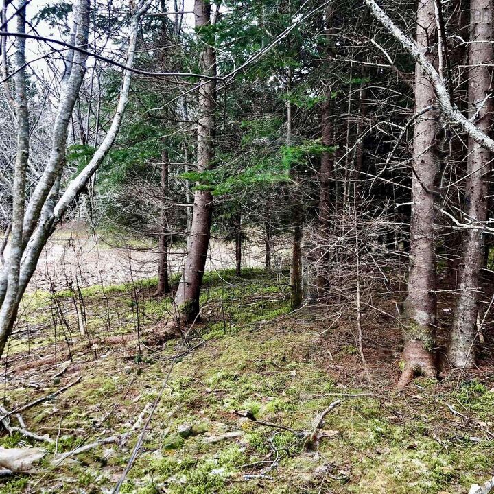 Property Photo:  0 Main Rd.  NS B0E 1J0 