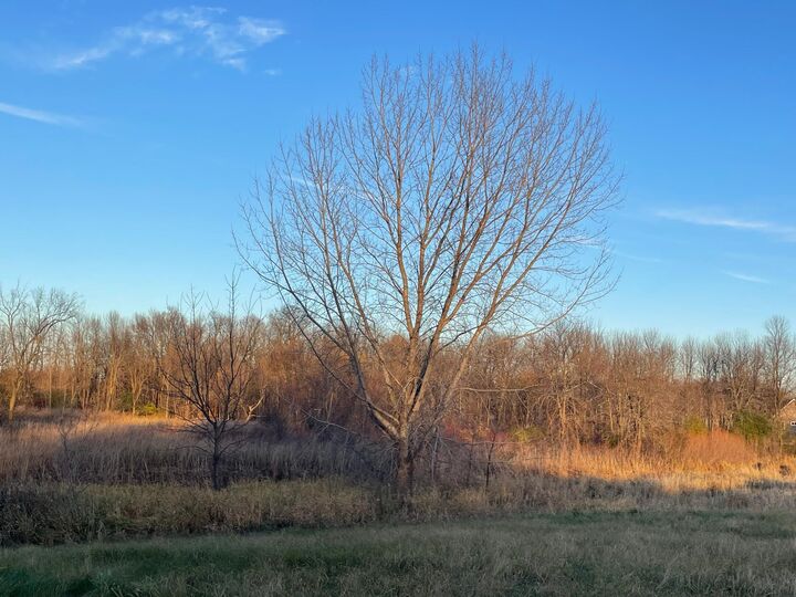Property Photo:  Lot 11 Block 1 Donway Place NE  MN 56308 