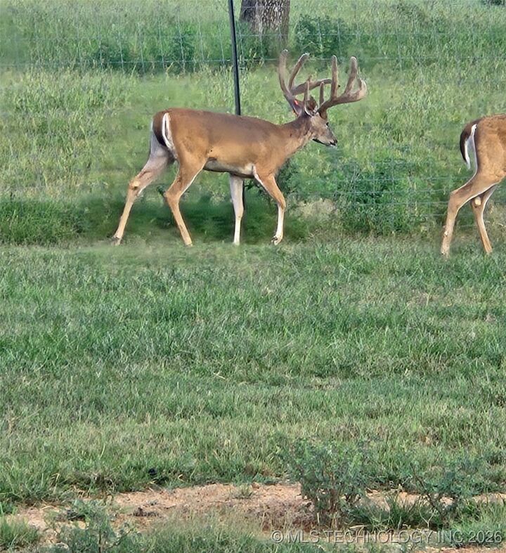 Property Photo:  21501 S 705 Road  OK 74370 