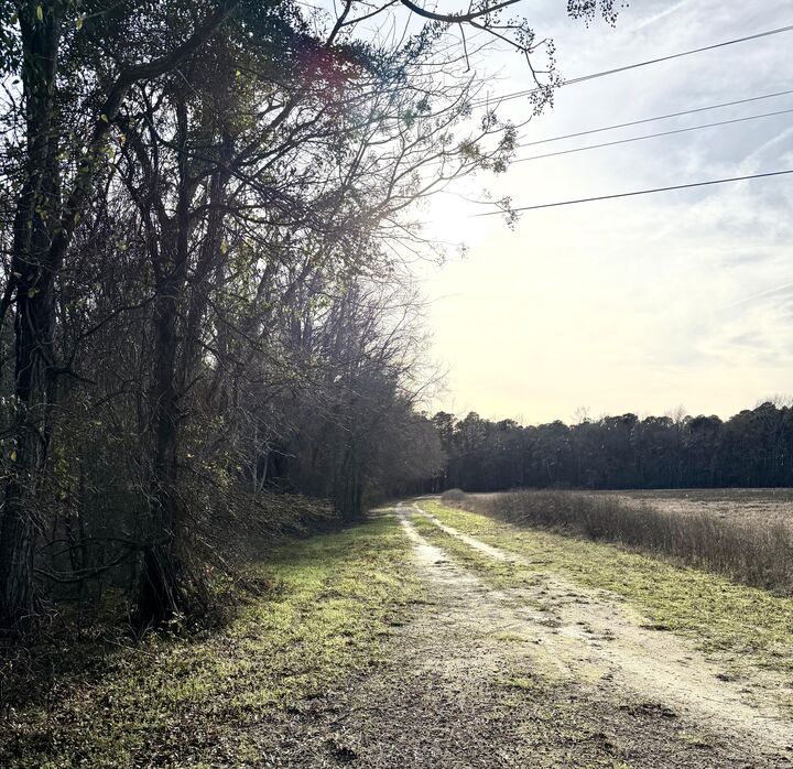 Property Photo:  Tbd Felderville Road  SC 29047 