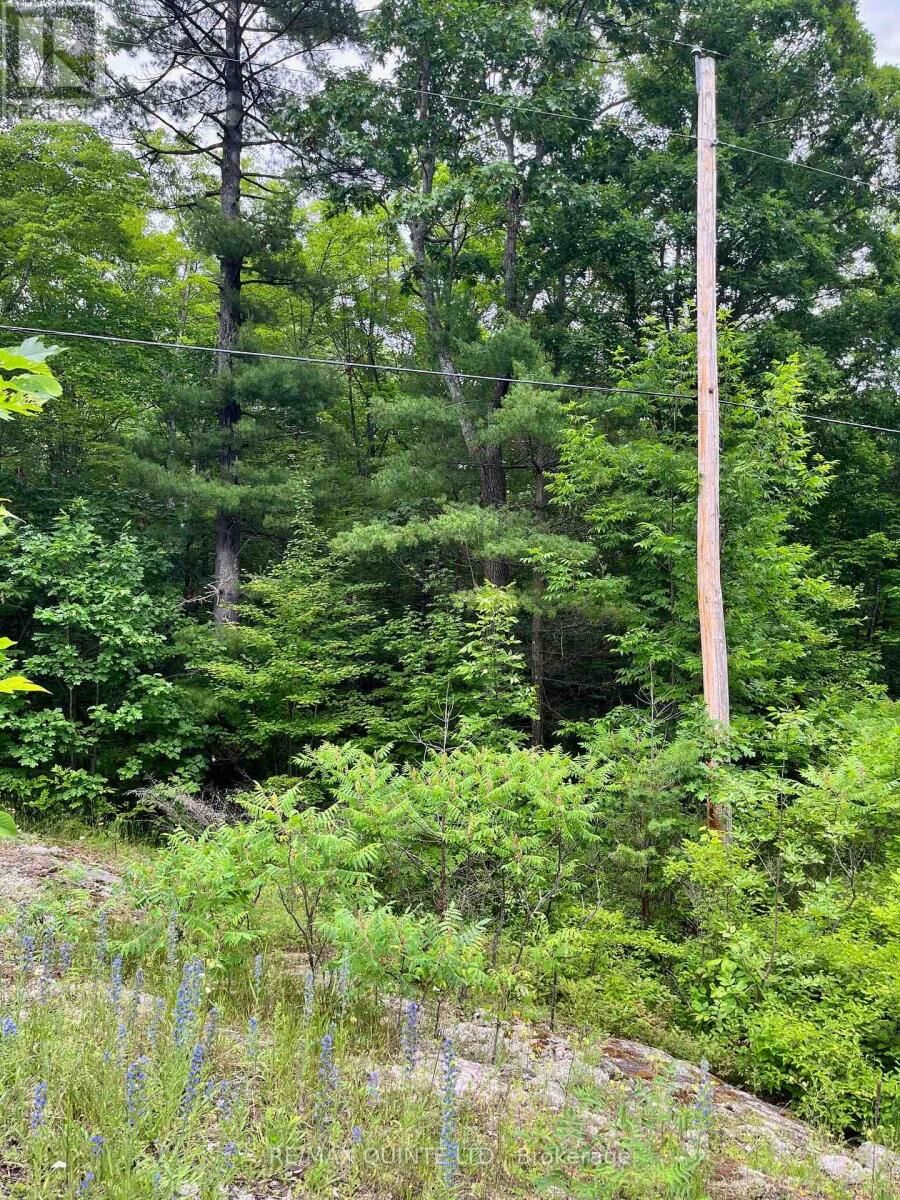 Property Photo:  Potter Settlement Road  ON K0K 3J0 