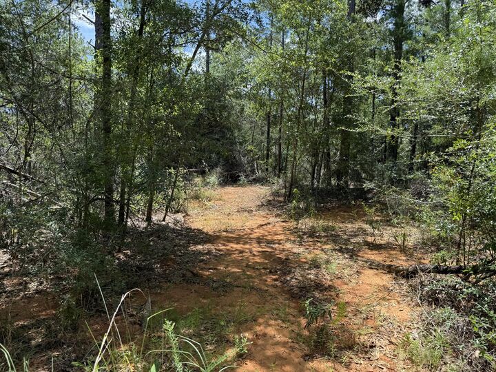 Property Photo:  Lot 38 Blk 68 On Clearwater Drive  FL 32433 