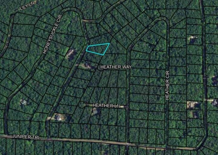 Property Photo:  Blk 29 Lot 31 Heather Circle  GA 31831 