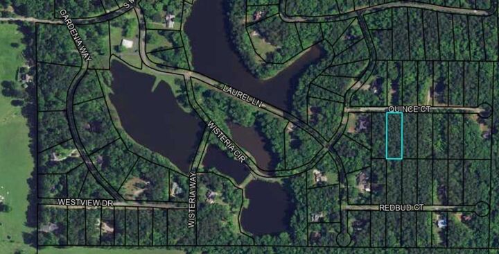 Property Photo:  Blk 14 Lot 05 Quince Court  GA 31831 