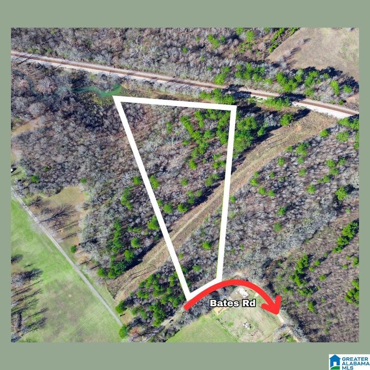 Property Photo:  0 Bates Road 0  AL 35178 