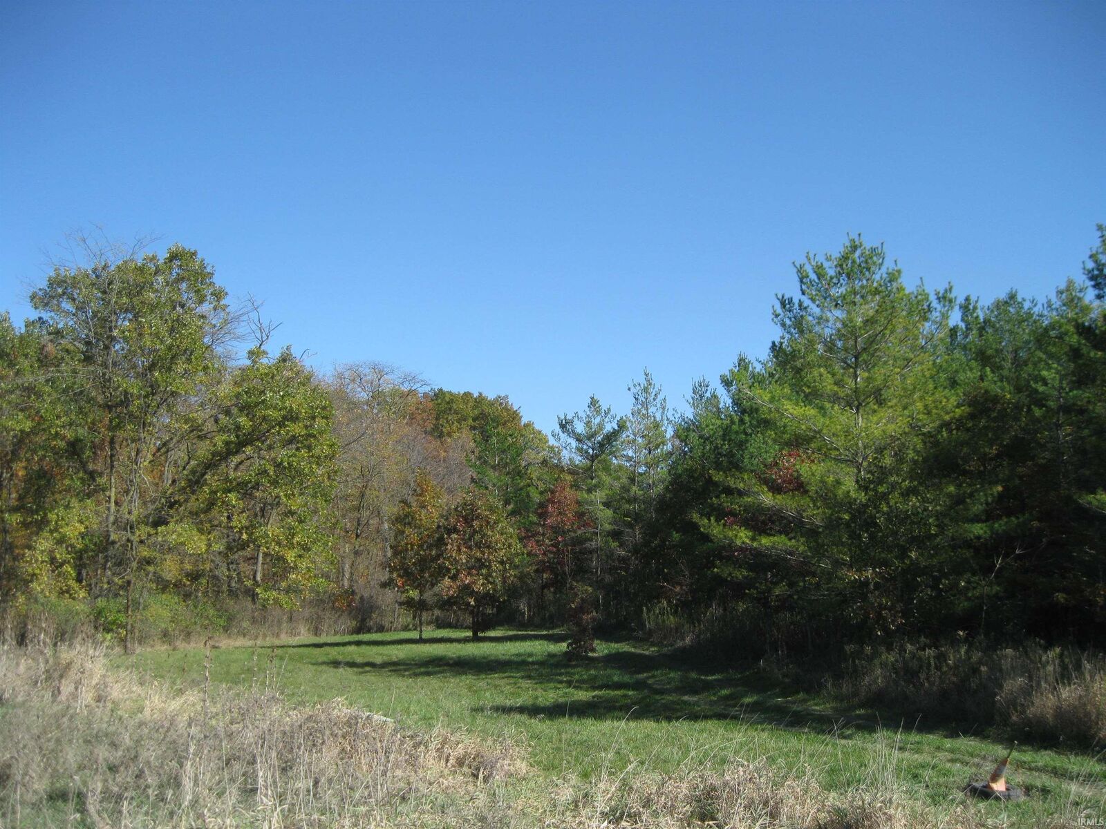 Property Photo:  State Rd 1 Road  IN 46721 